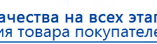 СКЭНАР-1-НТ (исполнение 02.2) Скэнар Оптима купить в Канске, Аппараты Скэнар купить в Канске, Официальный сайт Дэнас kupit-denas.ru